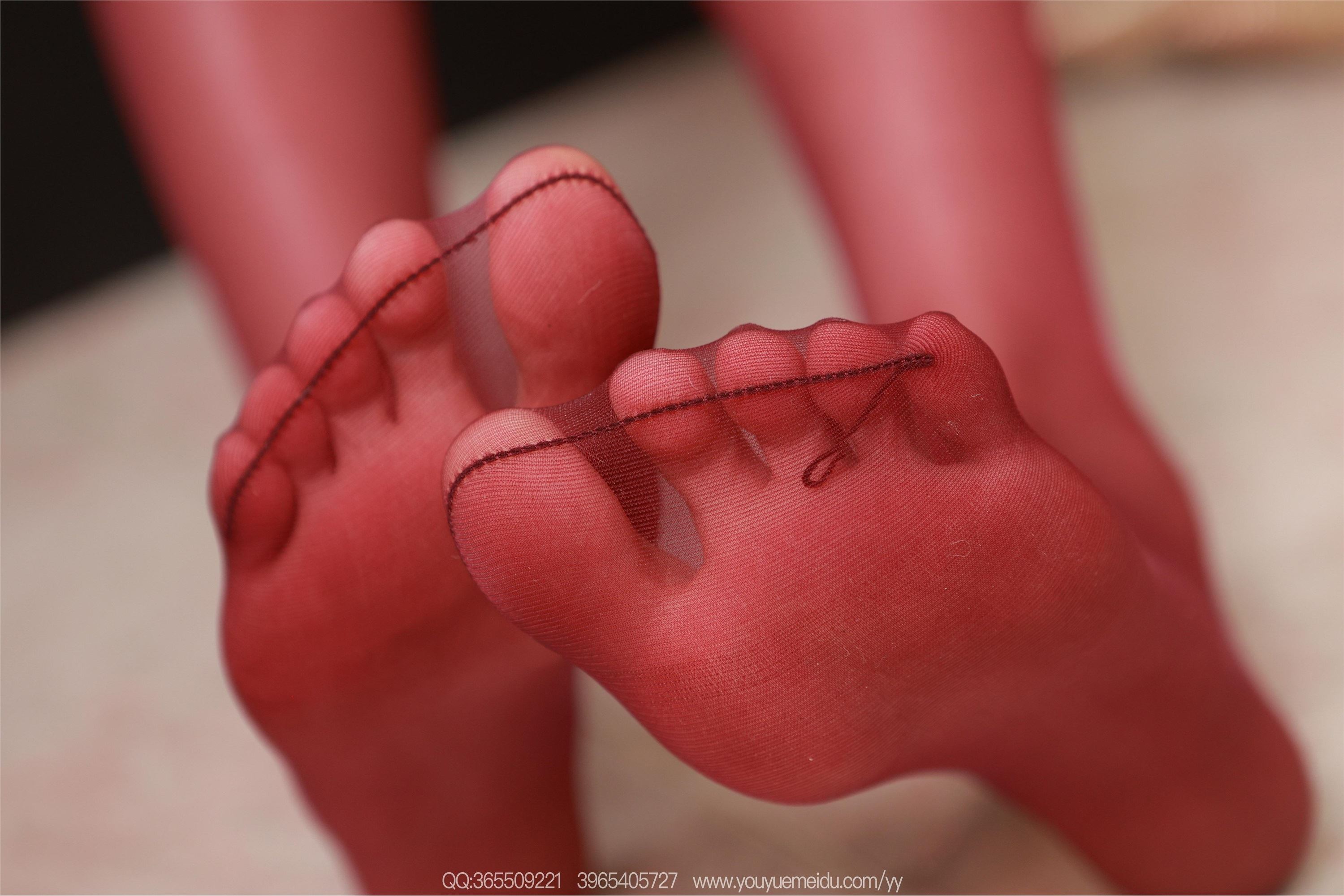 IESS异思趣向  2025.07.27 丝享家 2116 团团《酒红色系》